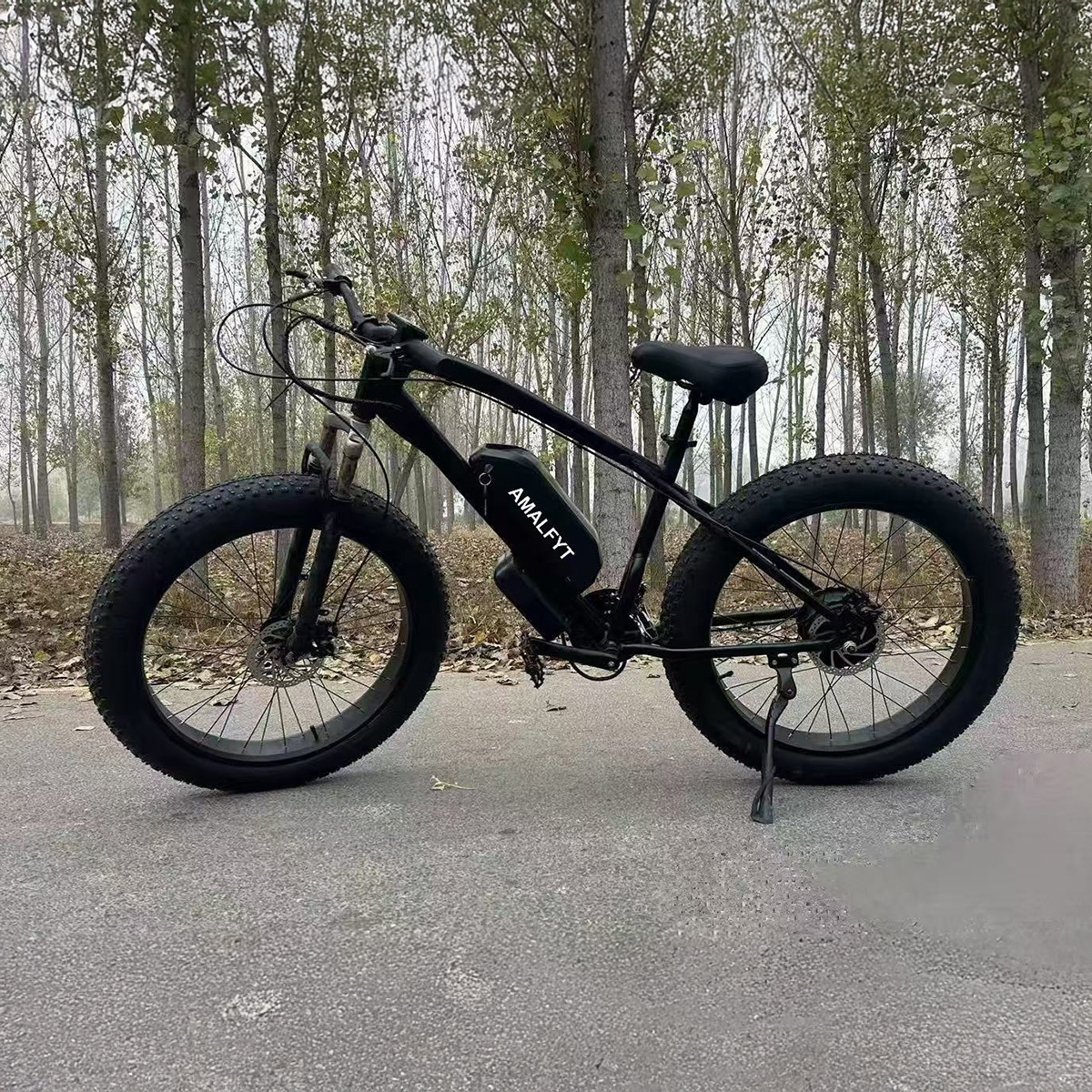 mountain1 EBIKE MOUNTAIN - Imagen 1